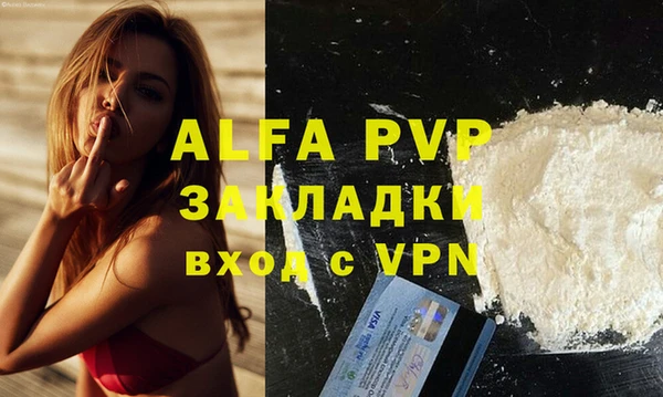 ГАЛЛЮЦИНОГЕННЫЕ ГРИБЫ Тутаев