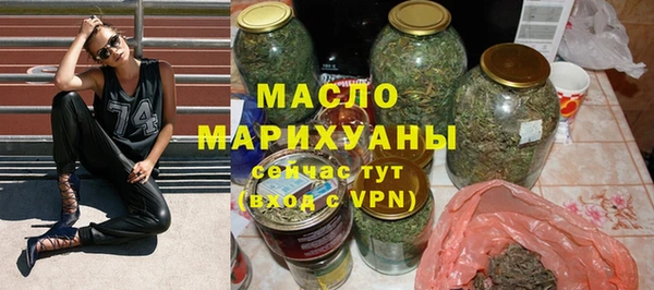 мдпв Туринск