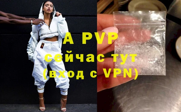 мдпв Туринск