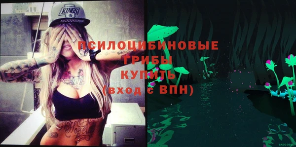 мдпв Туринск