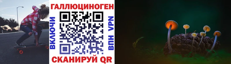 OMG рабочий сайт  закладки  Гусиноозёрск  Псилоцибиновые грибы Cubensis 